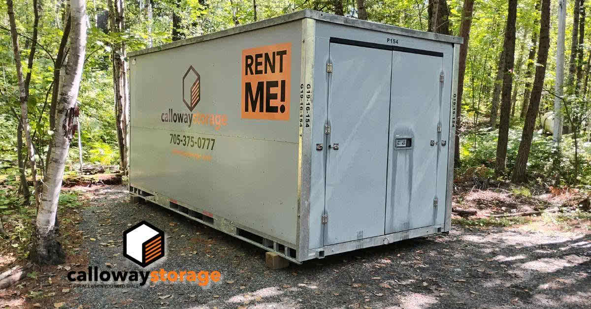 container in the trees