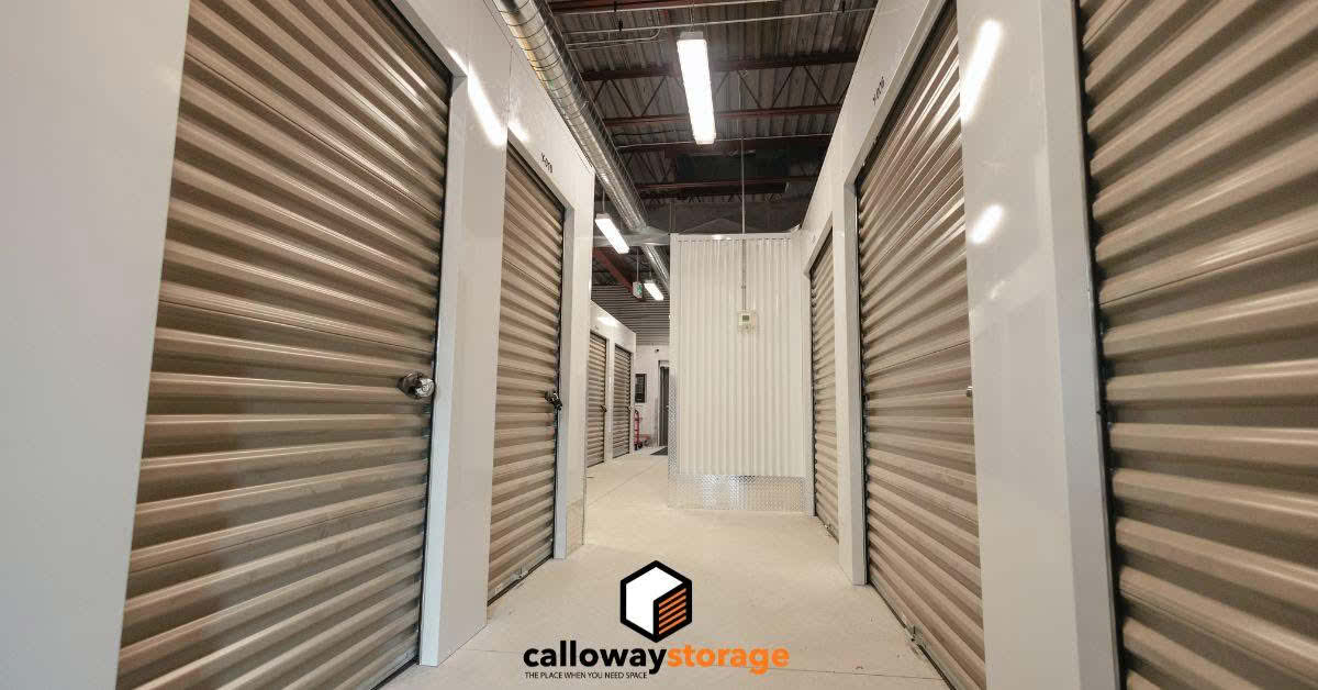 calloway feature image (1200 x 628 px) (2)