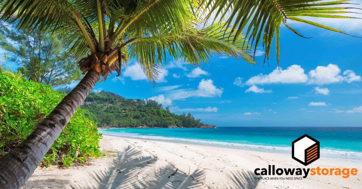 calloway feature image (1200 x 628 px) (3)